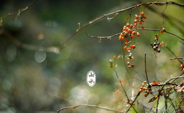 【诗词鉴赏】雨水至,一起品读雨水时节的古诗词吧!