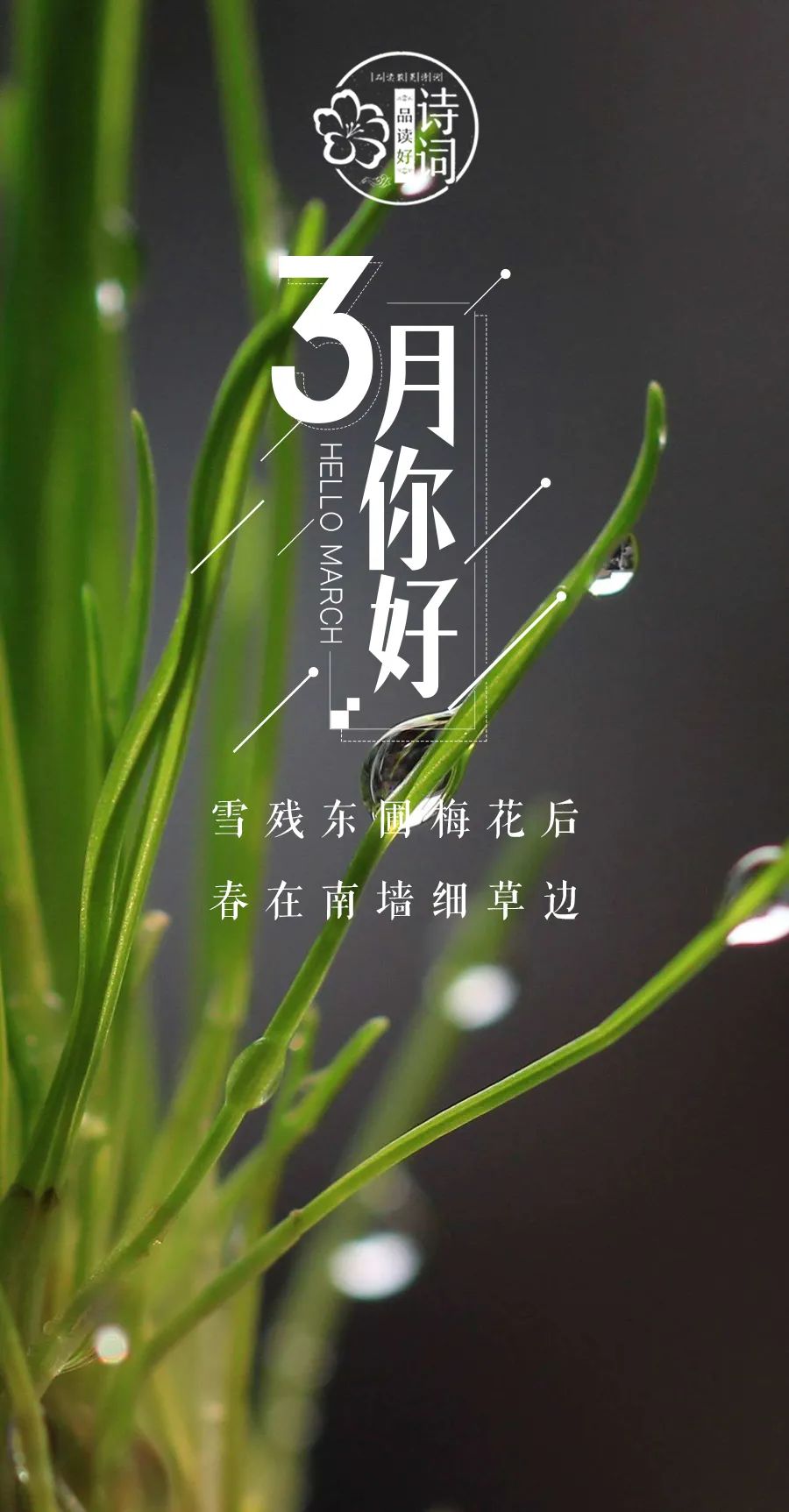 三月 你好,许你人间三月天!那些关于春天的诗句,感受春风拂面