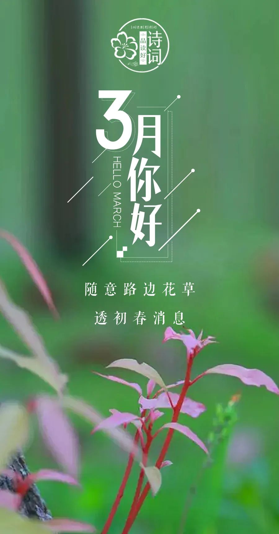 三月 你好,许你人间三月天!那些关于春天的诗句,感受春风拂面
