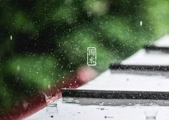 【诗词鉴赏】雨水至,一起品读雨水时节的古诗词吧!