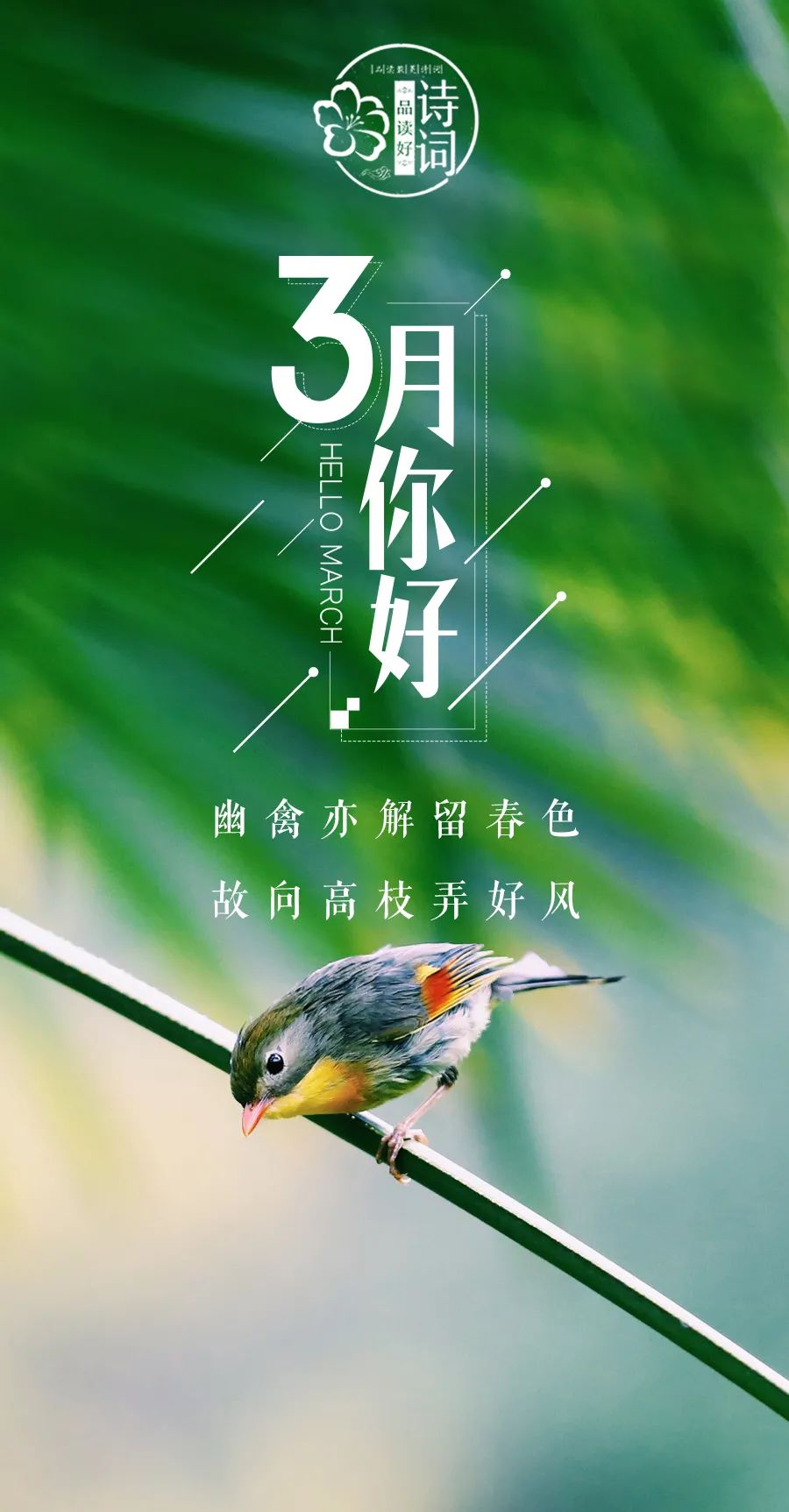 三月 你好,许你人间三月天!那些关于春天的诗句,感受春风拂面