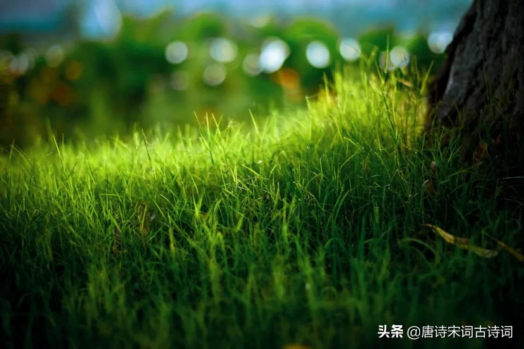草木渐知春,萌芽处处新