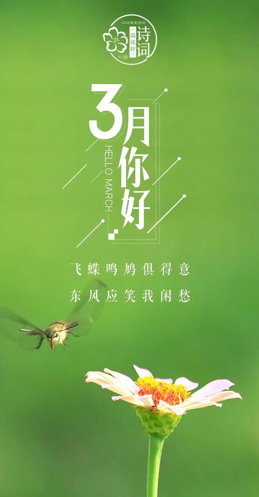 三月 你好,许你人间三月天!那些关于春天的诗句,感受春风拂面