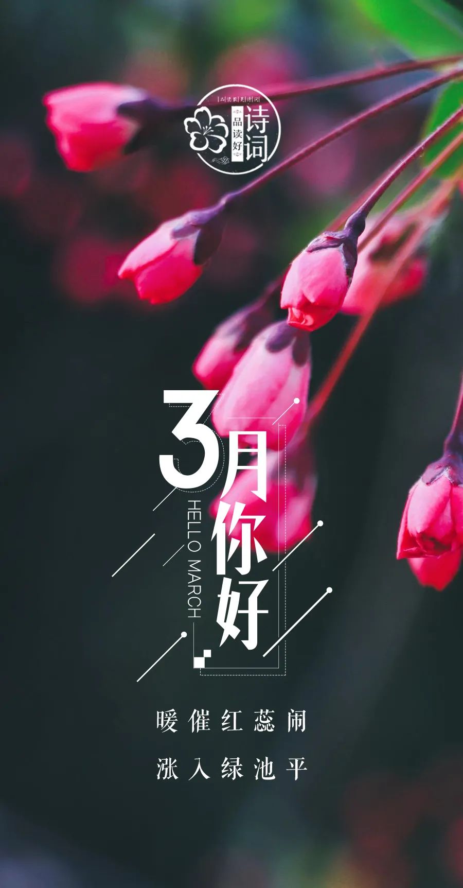 三月 你好,许你人间三月天!那些关于春天的诗句,感受春风拂面