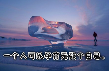 精选现代诗歌20首,带赏析!