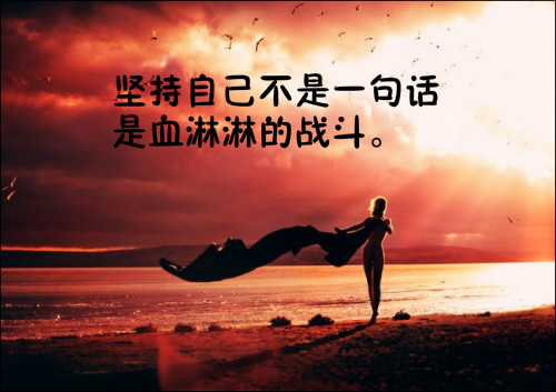 精选现代诗歌20首,带赏析!