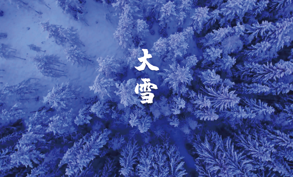 「诗词鉴赏」大雪节气,十二首大雪的诗词,期盼一场大雪的到来