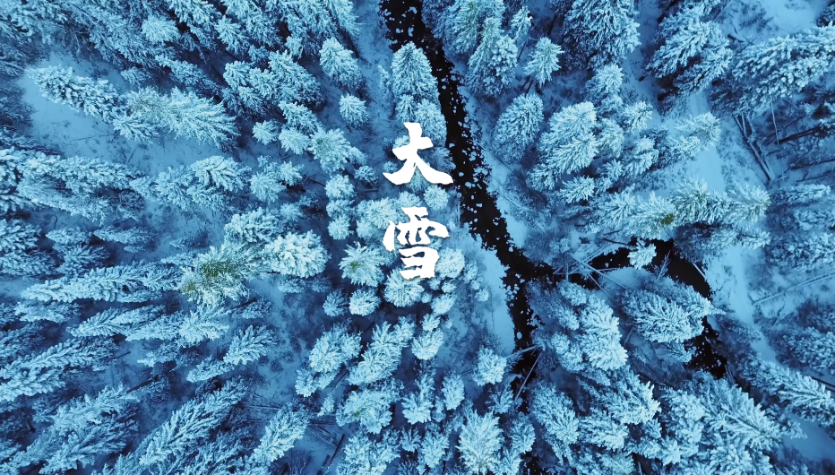 「诗词鉴赏」大雪节气,十二首大雪的诗词,期盼一场大雪的到来
