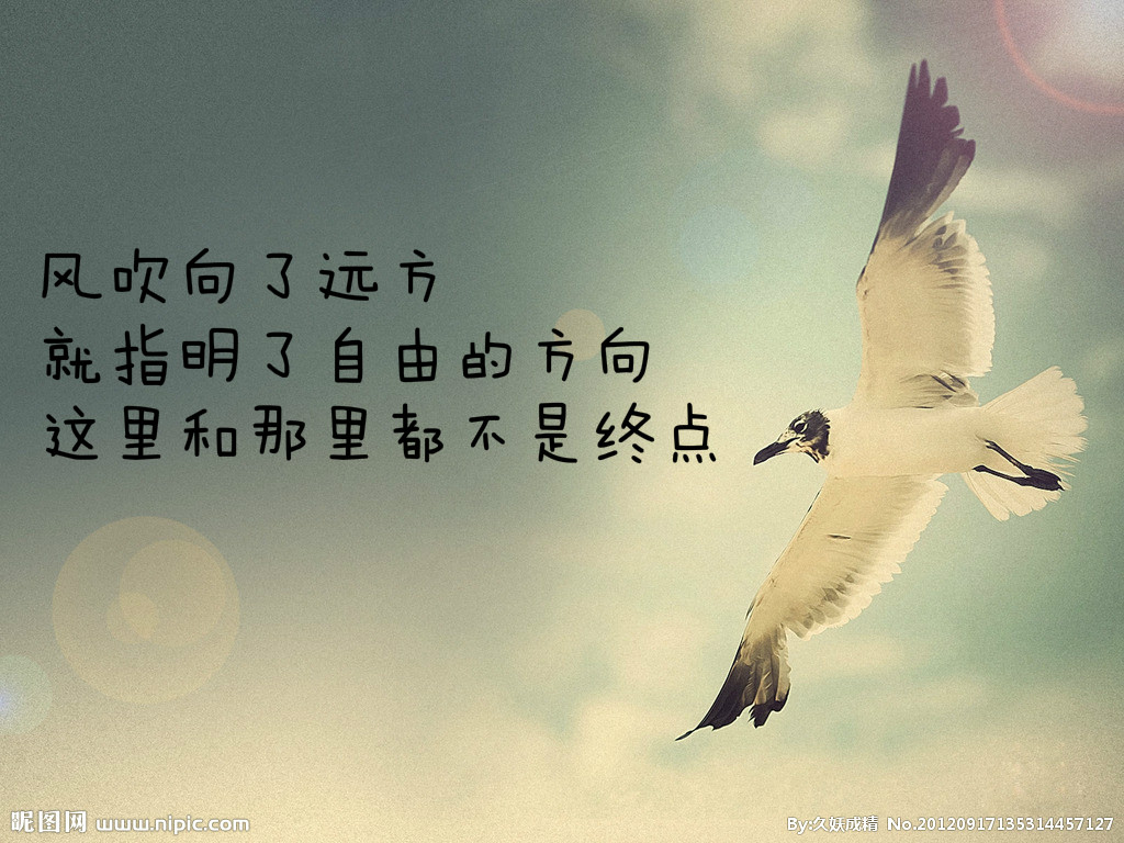 精选现代诗歌20首,带赏析!