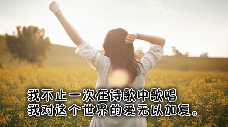 精选现代诗歌20首,带赏析!