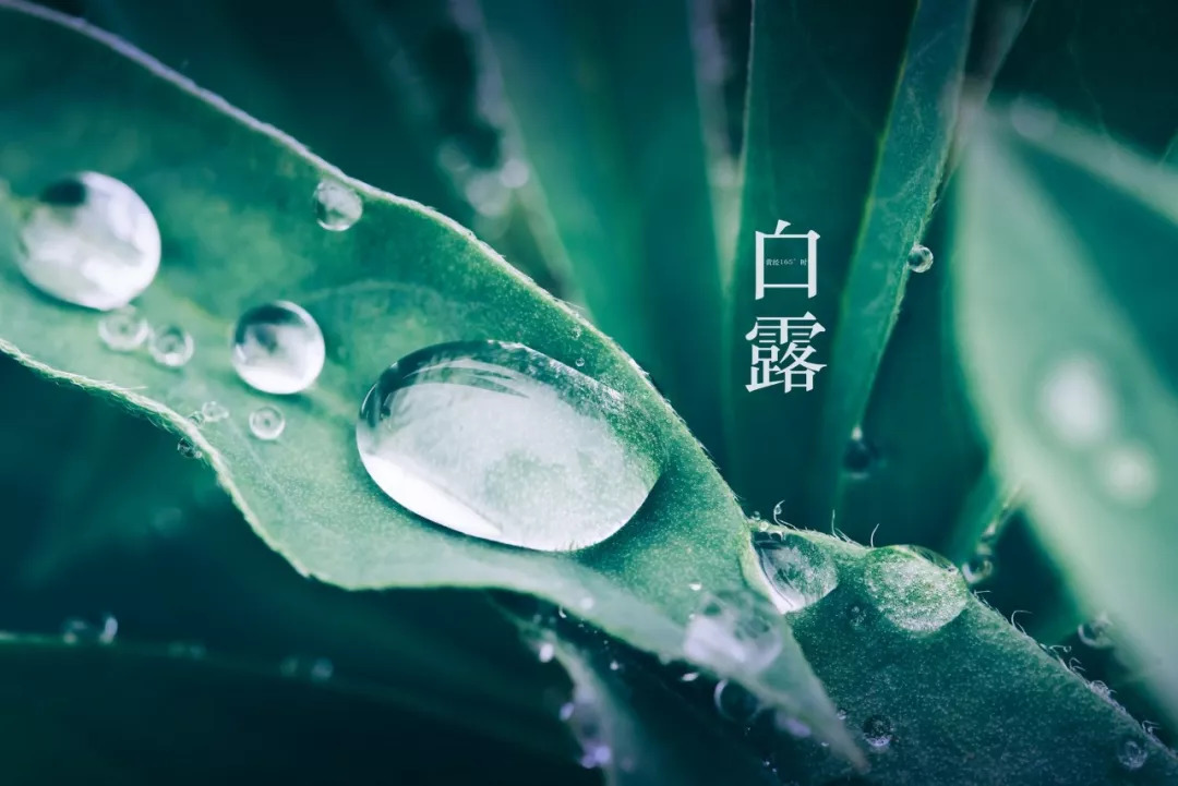 二十四节气,二十四首诗词:春去冬来,美极了