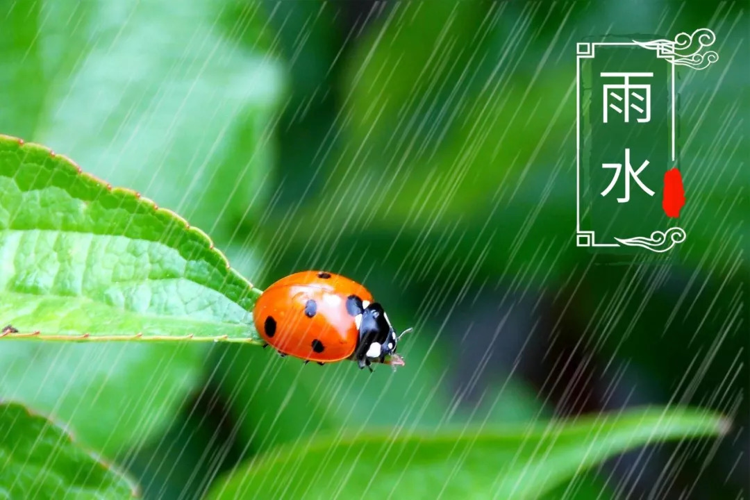 二十四节气,二十四首诗词:春去冬来,美极了