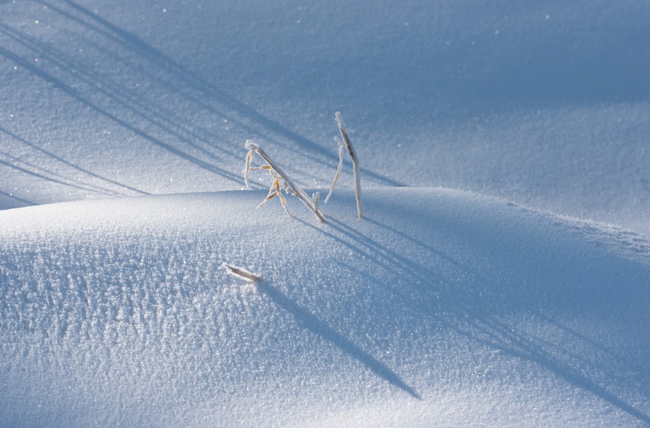 16首经典咏雪诗词,冬如画,雪如诗,赏尽冬雪之雪