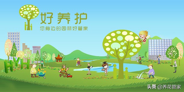 20首咏桂花诗词:一年秋意浓,十里桂花香