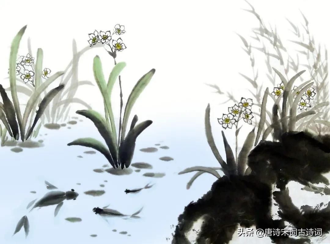 诗词中的水仙,冬天开得最美