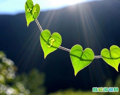 关于重感情重情重义的句子