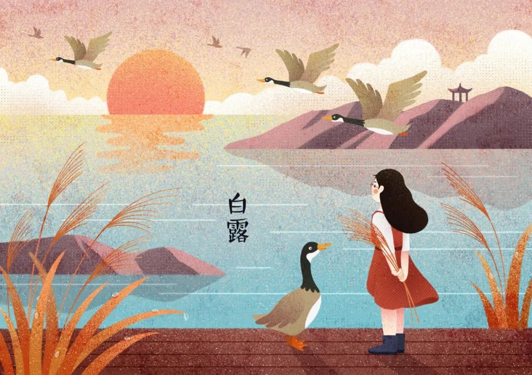 最美的5首白露诗词,清风白露,岁月无忧