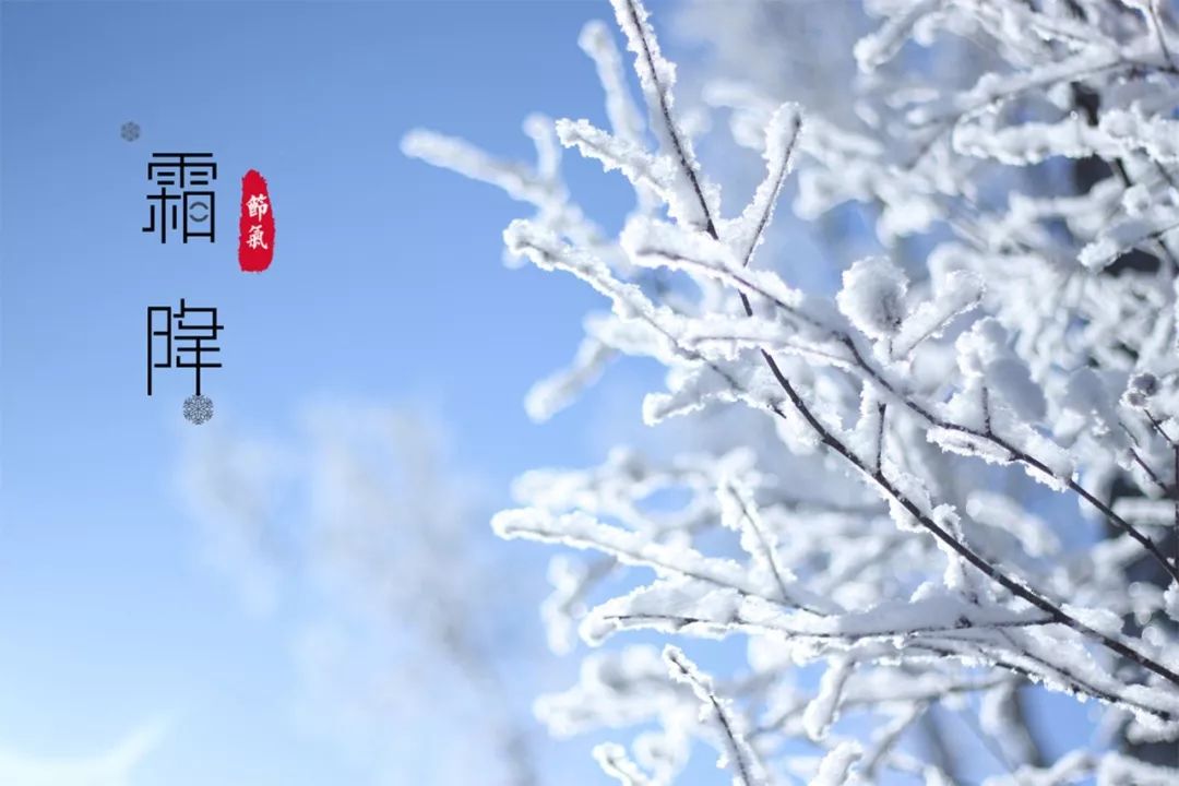 二十四节气,二十四首诗词:春去冬来,美极了