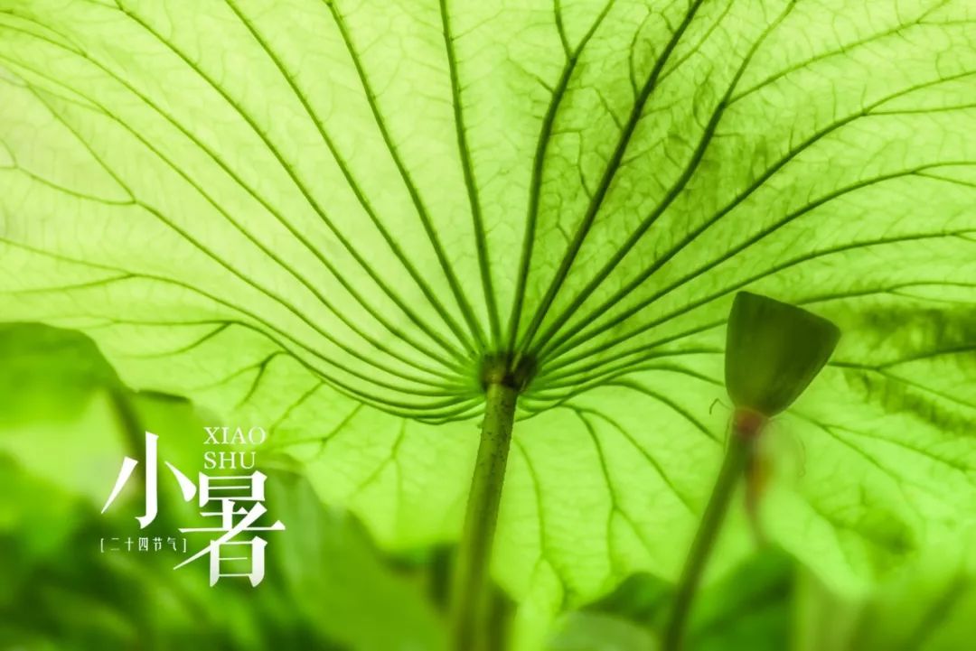 二十四节气,二十四首诗词:春去冬来,美极了