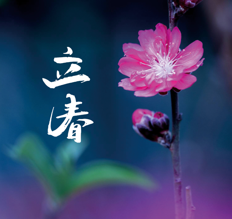 共搜佳句赏新春,十首立春诗词,愿你步步皆春,春风得意