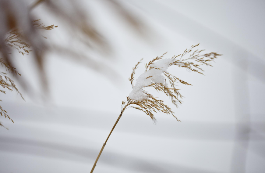 「诗词鉴赏」十首咏雪的诗词,迎接小雪节气的到来
