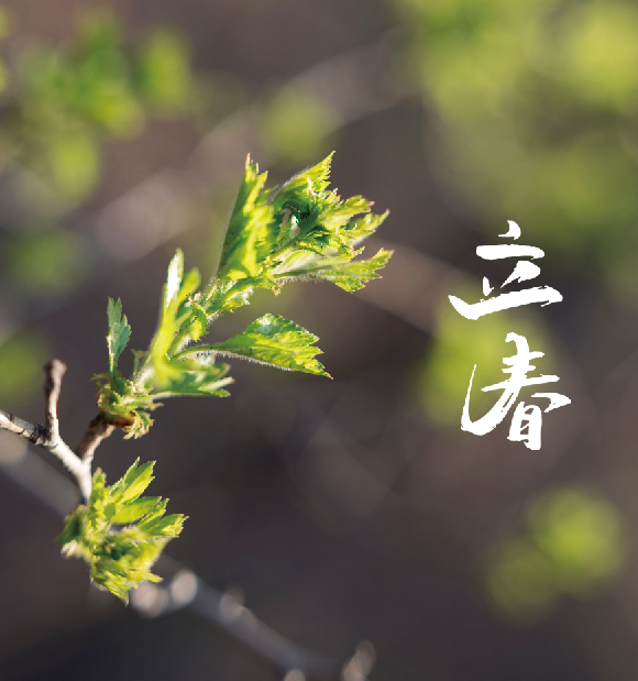 共搜佳句赏新春,十首立春诗词,愿你步步皆春,春风得意