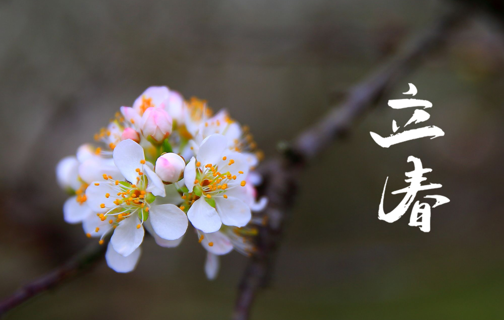 共搜佳句赏新春,十首立春诗词,愿你步步皆春,春风得意