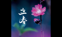 立春的诗词有哪些（描写立春节气的诗句）