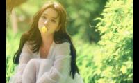 晚安语录微信温馨句子