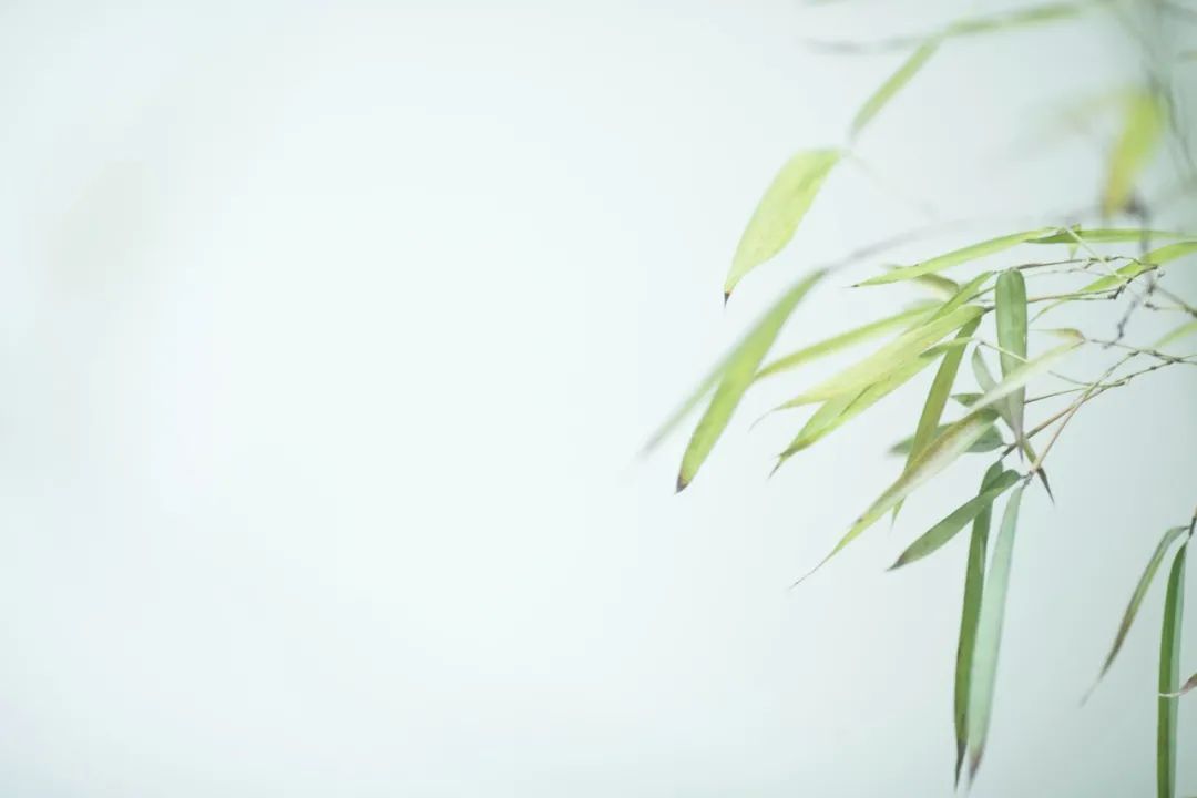 10首意境优美的小诗,美了眼,醉了心,惊艳了时光