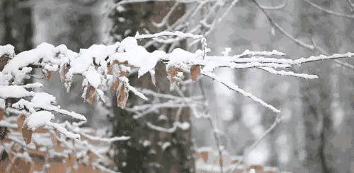 十二首有关雪中的诗词,在最美的雪中,遇见最美的诗意