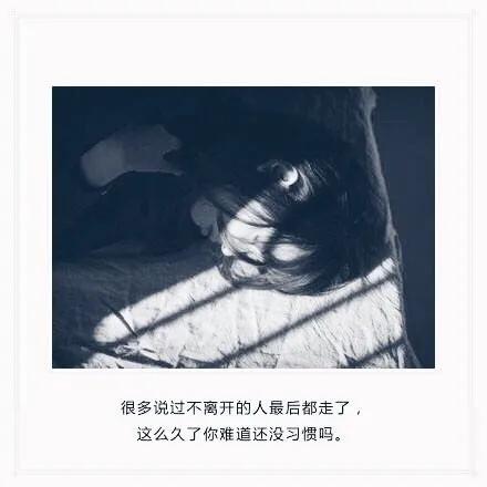 五则悲情故事