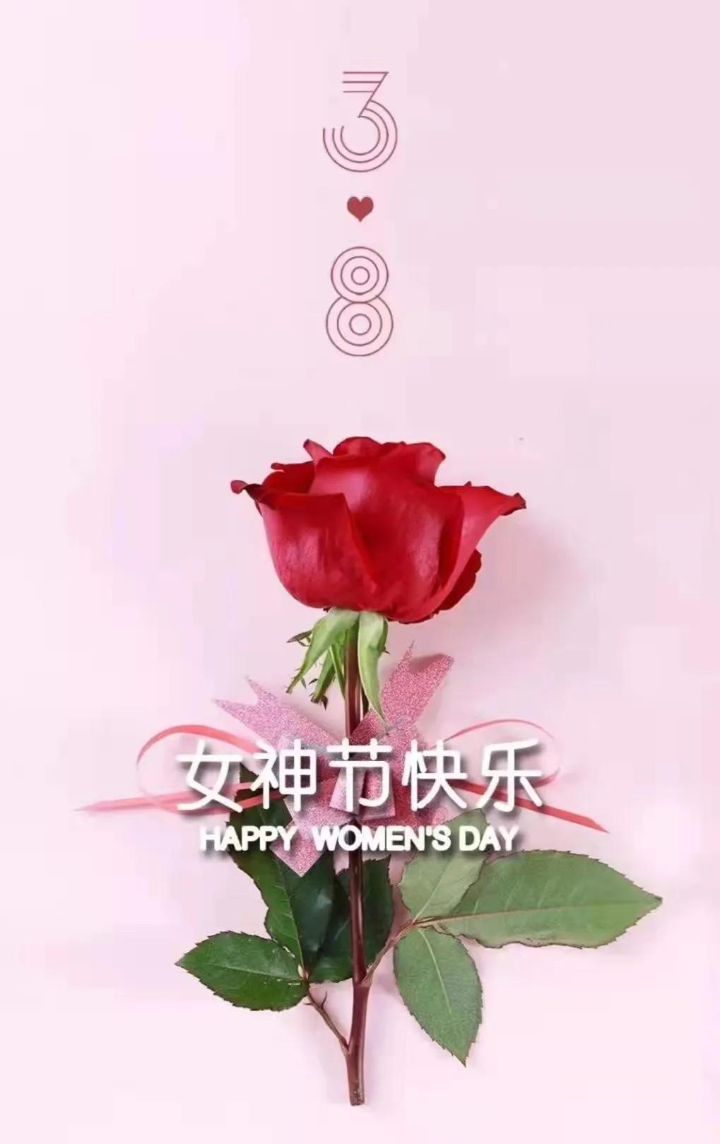 三八妇女节诗六首