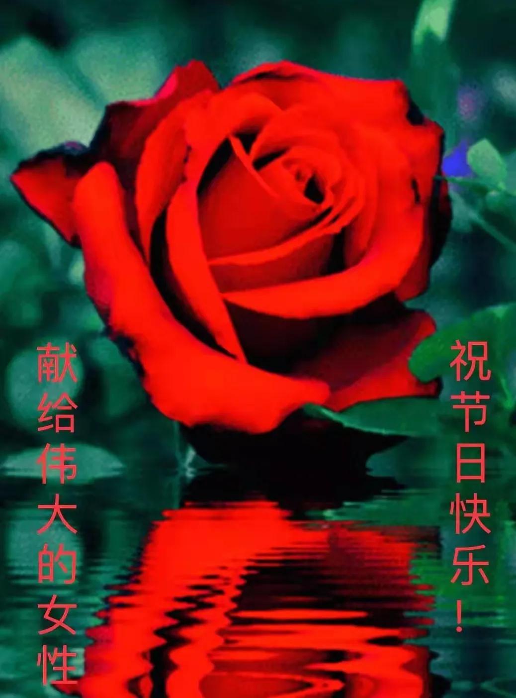 三八妇女节诗六首
