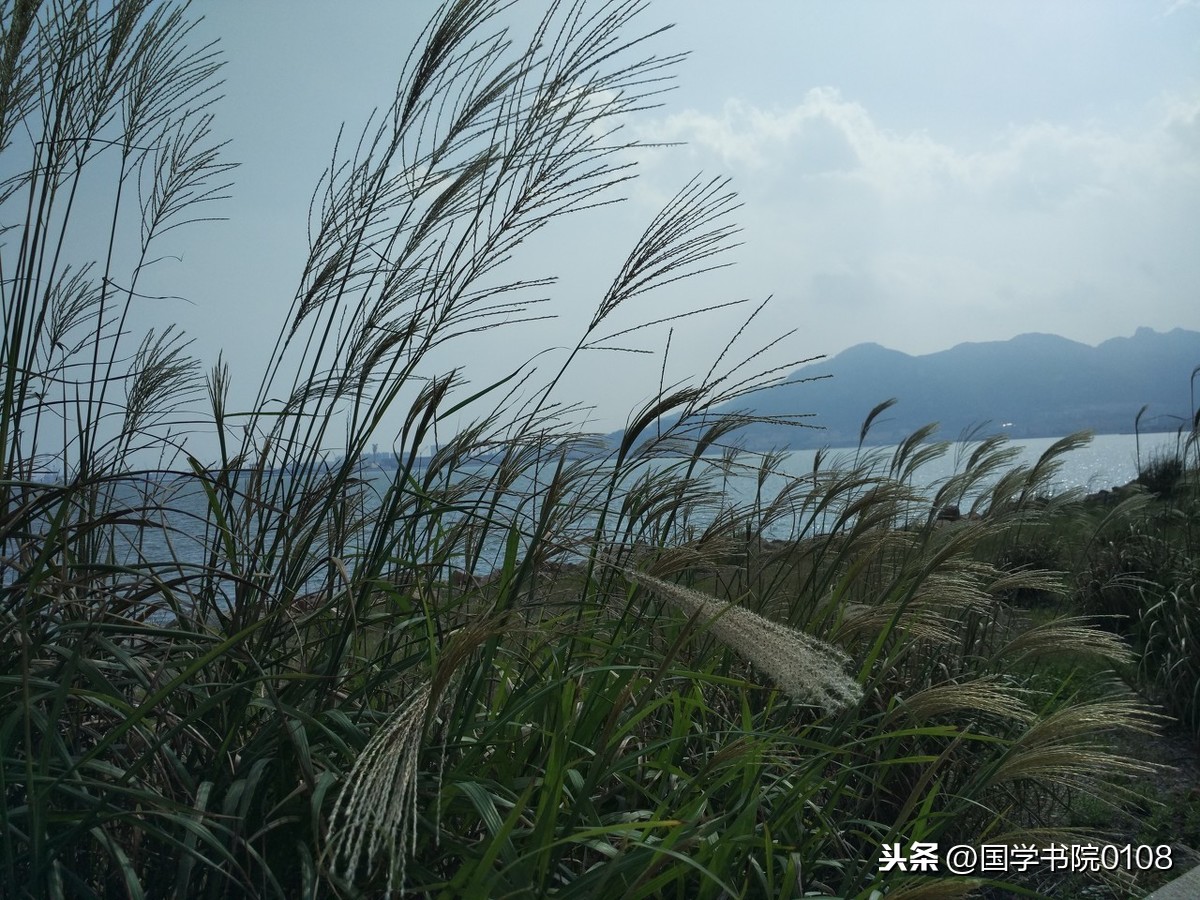读10首春日诗词,充满了希望和力量