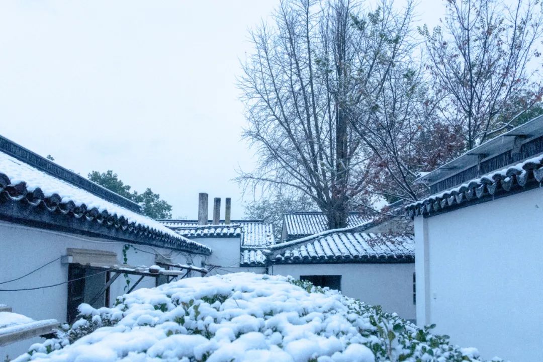 12句冬雪诗词,浪漫有情调,治愈了整个冬天