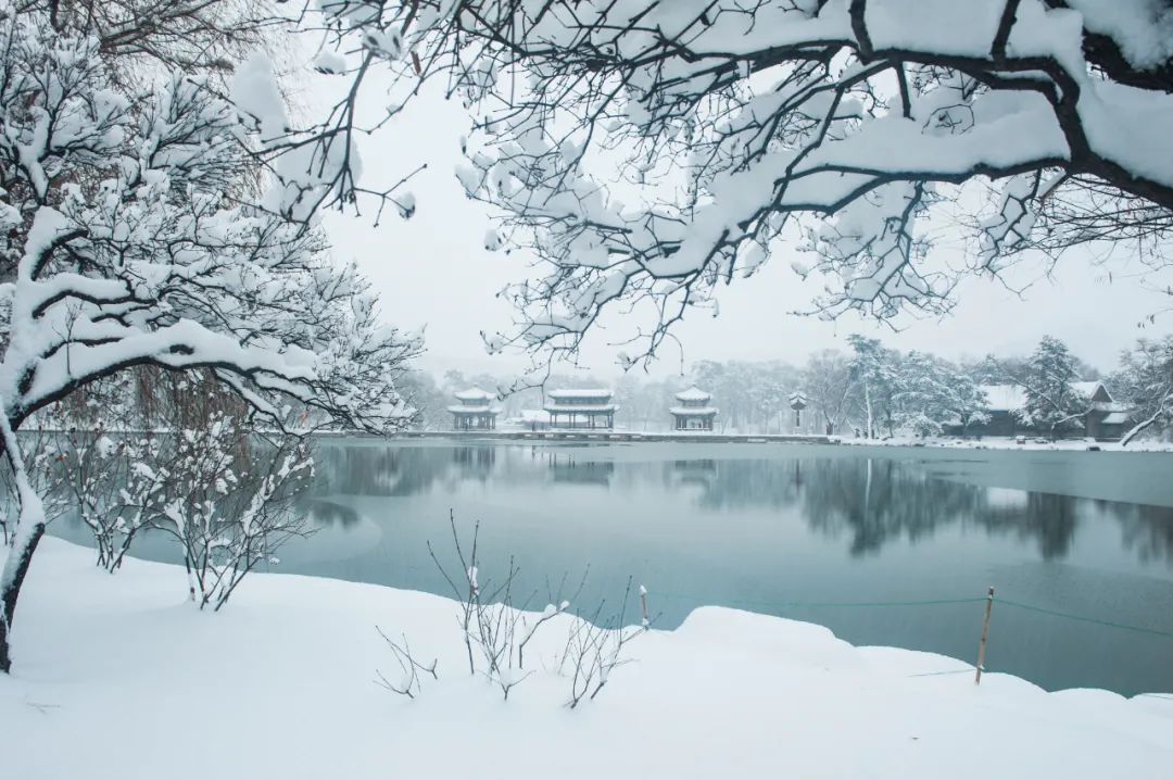 12句冬雪诗词,浪漫有情调,治愈了整个冬天