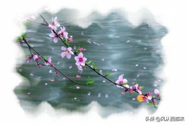 现代诗 | 踏青