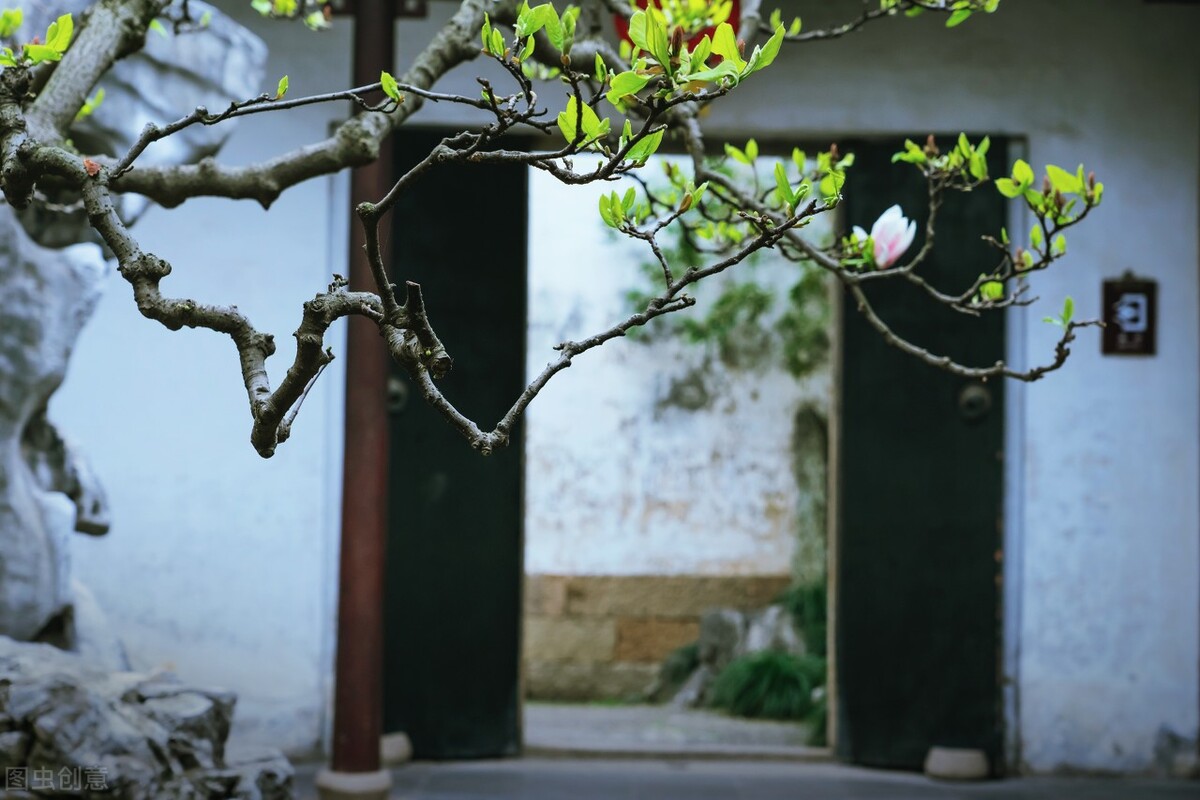 散文:《长相思》