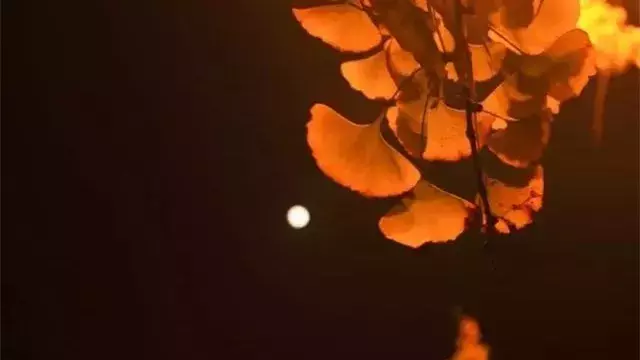这些关于月亮的古诗词,讲给孩子们听