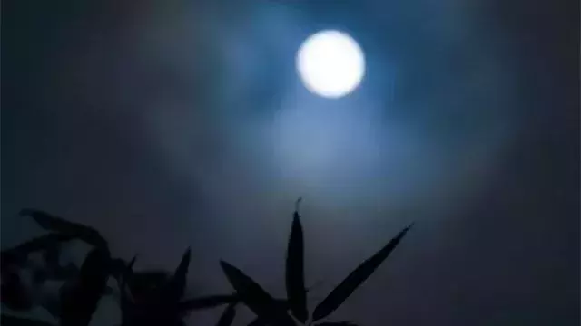 这些关于月亮的古诗词,讲给孩子们听