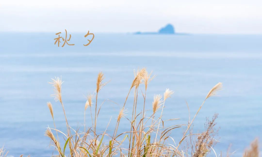 12个“惊艳千年”的浪漫<a