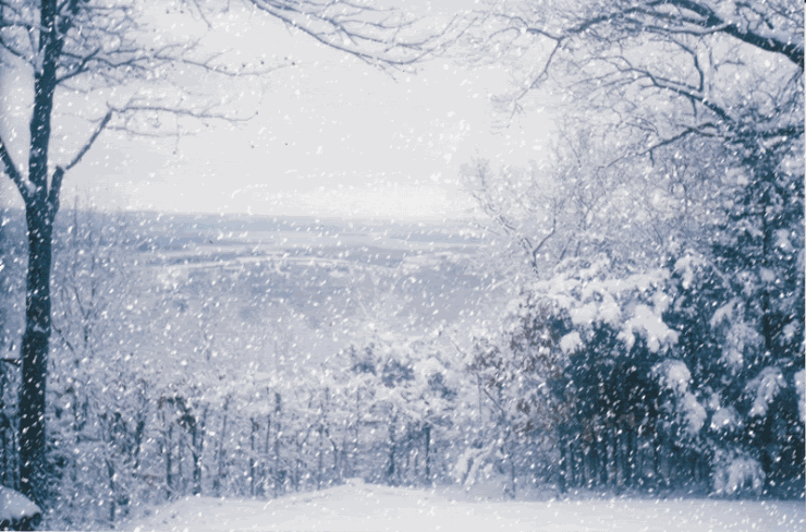 「诗词鉴赏」十首写雪的著名诗词,你最喜欢哪一首?