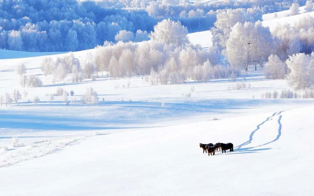 「诗词鉴赏」十首大雪的诗句,在大雪节气里品读诗词
