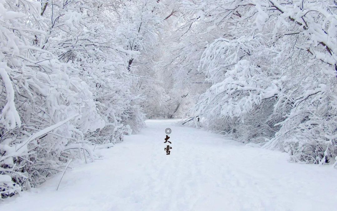 「诗词鉴赏」十首大雪的诗句,在大雪节气里品读诗词