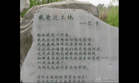 歌颂女性的诗歌艾青（艾青诗歌美学主张）