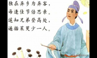 关于思乡的诗句古诗（表达思乡之情的古诗(）)
