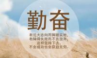 关于微商正能量语录大全