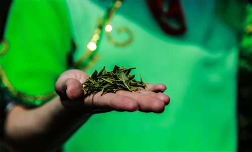 适合采茶发朋友圈的句子 适合采茶发朋友圈的句子