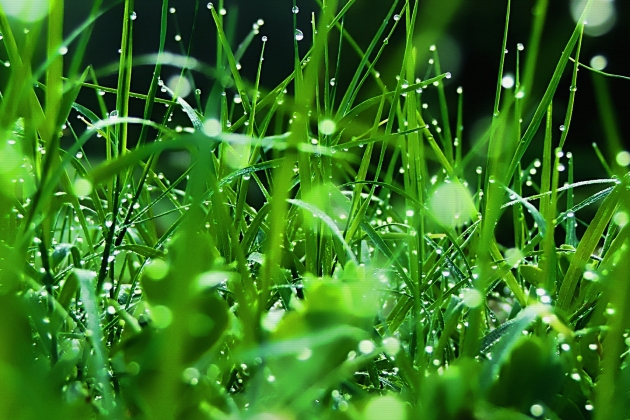 周末早安心语短句